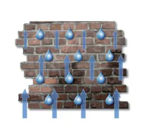 Schaubild: Blaue Pfeile und Wassertropfen steigen im Ziegelmauerwerk nach oben